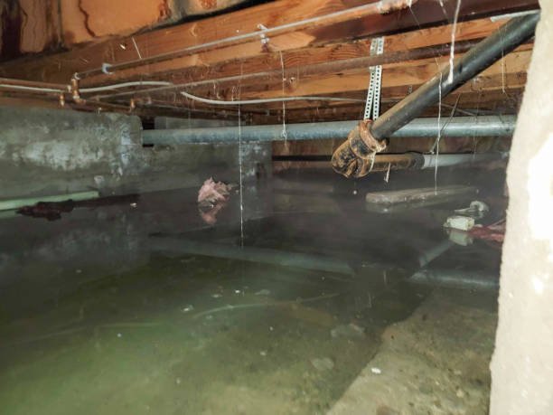 Aspermont, TX Water damage restoration Company