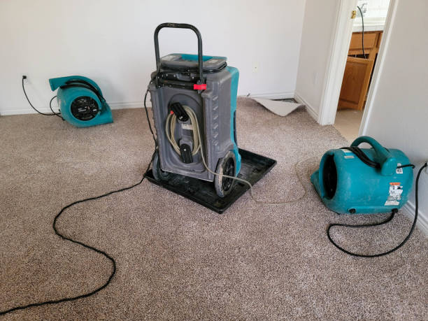 Best Ceiling water damage repair  in Aspermont, TX