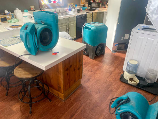 Best Fire Damage Restoration  in Aspermont, TX