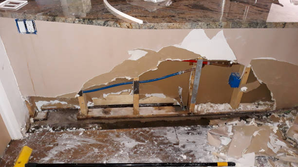 Best Mold removal after water damage  in Aspermont, TX