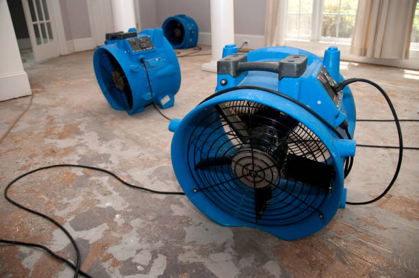 Best 24/7 water damage repair  in Aspermont, TX